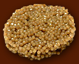 sevruga_image